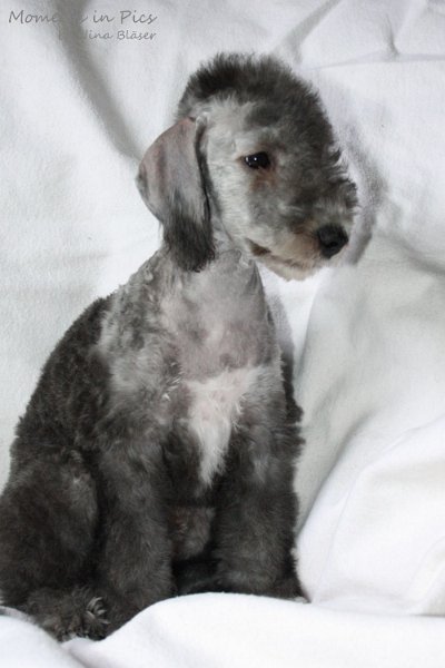 Antares 2009-08-01 & 02 (17).JPG